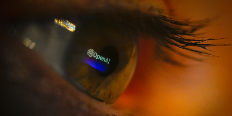 The OpenAI logo reflected in an eye.
